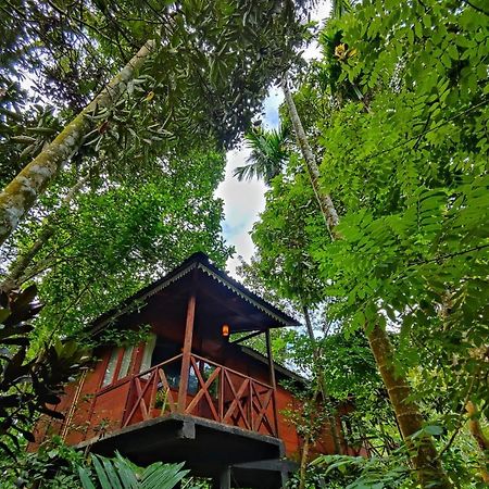 Wooden Cottages Glen Wayanad Meppādi Kültér fotó
