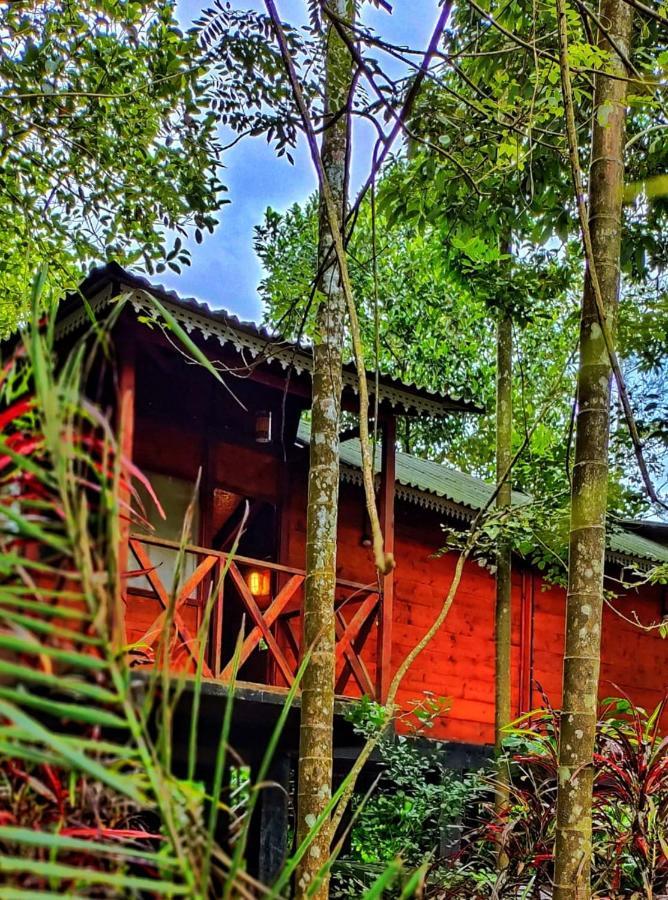 Wooden Cottages Glen Wayanad Meppādi Kültér fotó