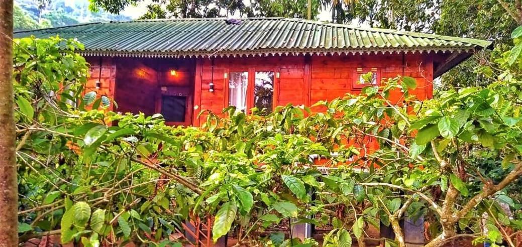 Wooden Cottages Glen Wayanad Meppādi Kültér fotó