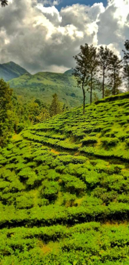Wooden Cottages Glen Wayanad Meppādi Kültér fotó