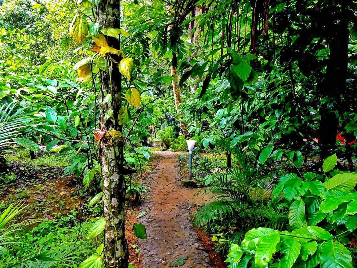 Wooden Cottages Glen Wayanad Meppādi Kültér fotó