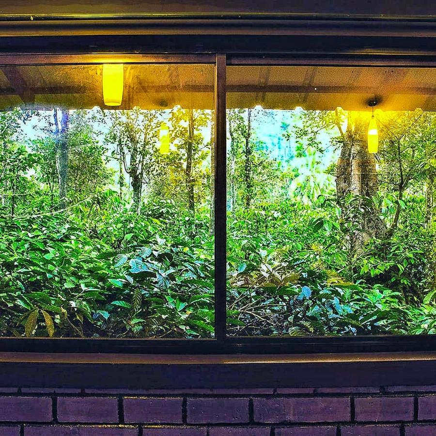 Wooden Cottages Glen Wayanad Meppādi Kültér fotó