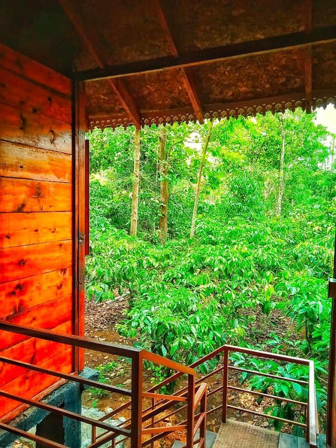 Wooden Cottages Glen Wayanad Meppādi Kültér fotó