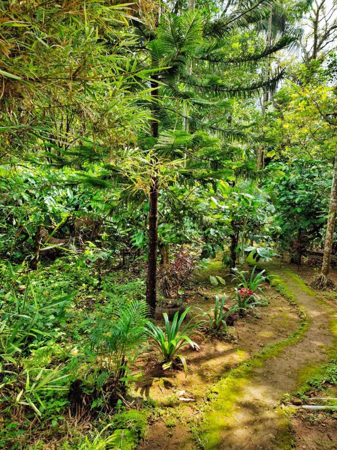 Wooden Cottages Glen Wayanad Meppādi Kültér fotó