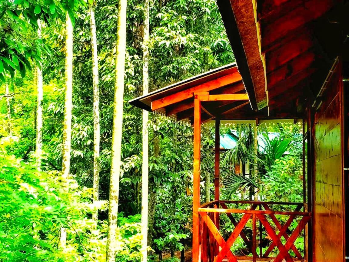Wooden Cottages Glen Wayanad Meppādi Kültér fotó