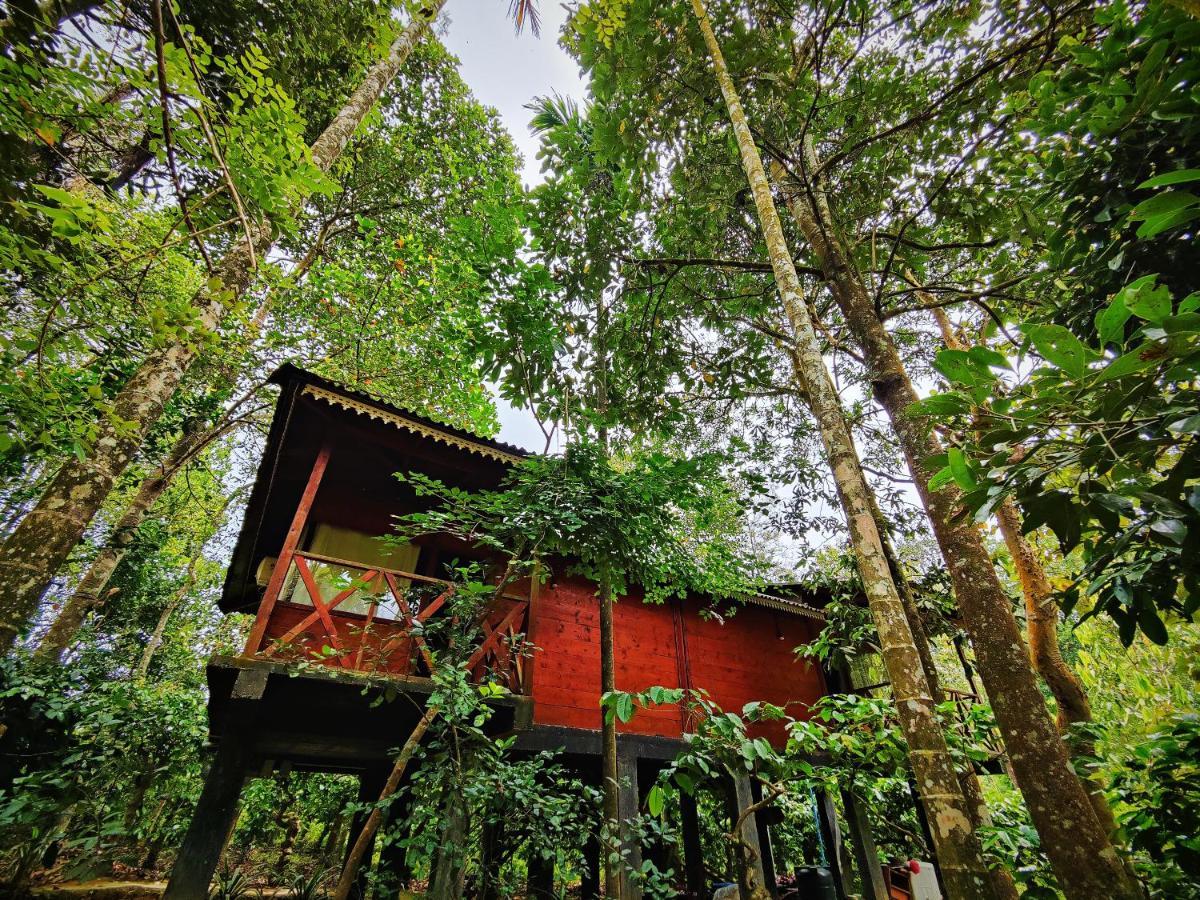 Wooden Cottages Glen Wayanad Meppādi Kültér fotó