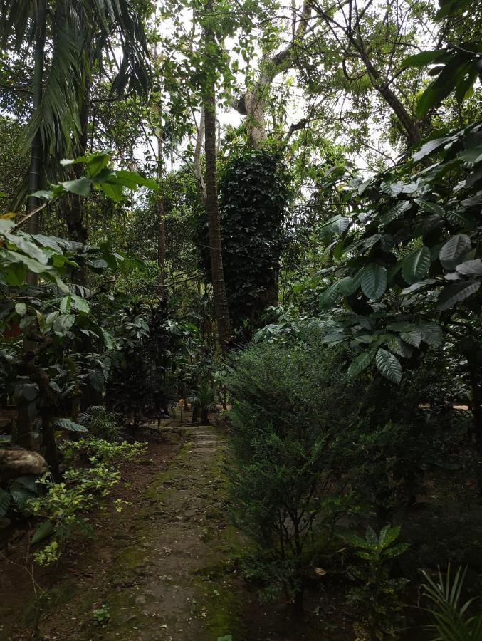 Wooden Cottages Glen Wayanad Meppādi Kültér fotó