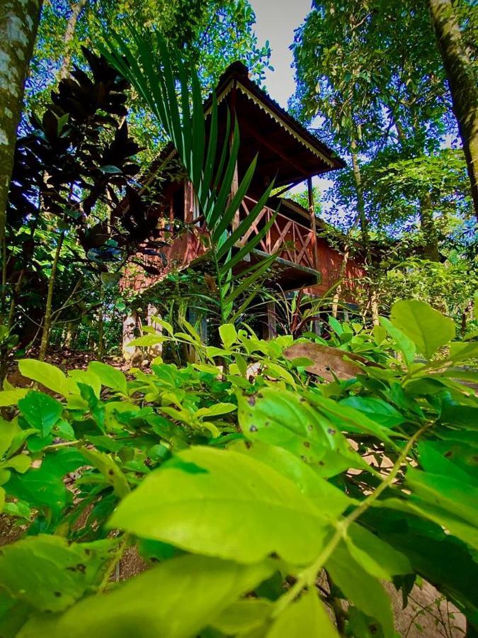 Wooden Cottages Glen Wayanad Meppādi Kültér fotó