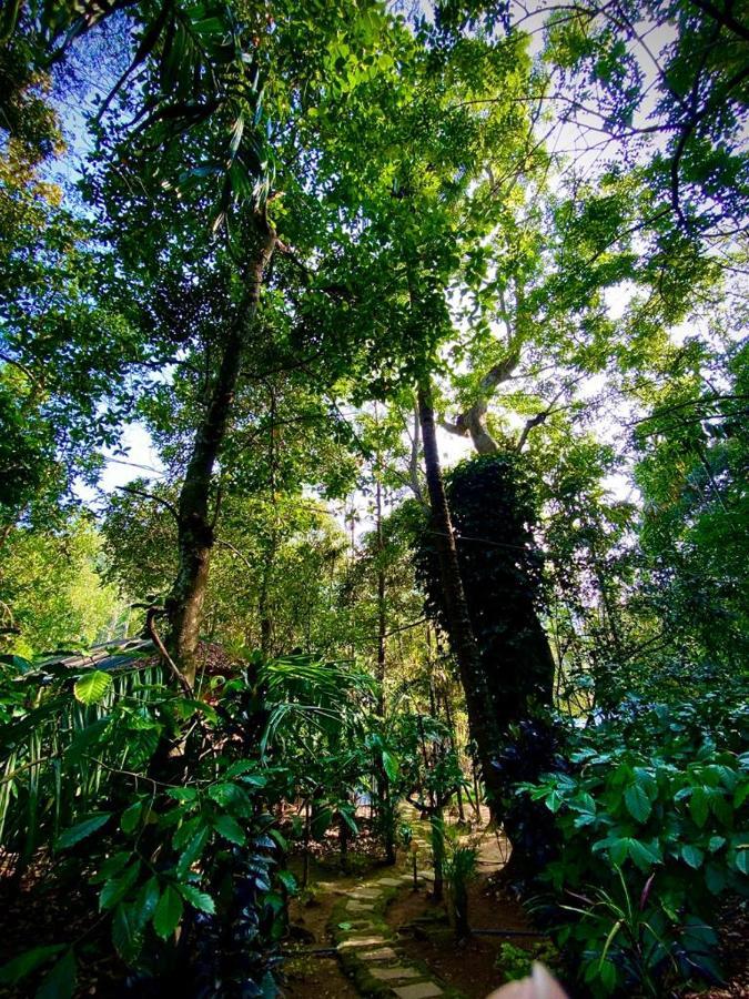 Wooden Cottages Glen Wayanad Meppādi Kültér fotó