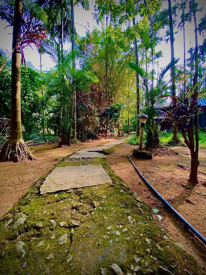 Wooden Cottages Glen Wayanad Meppādi Kültér fotó