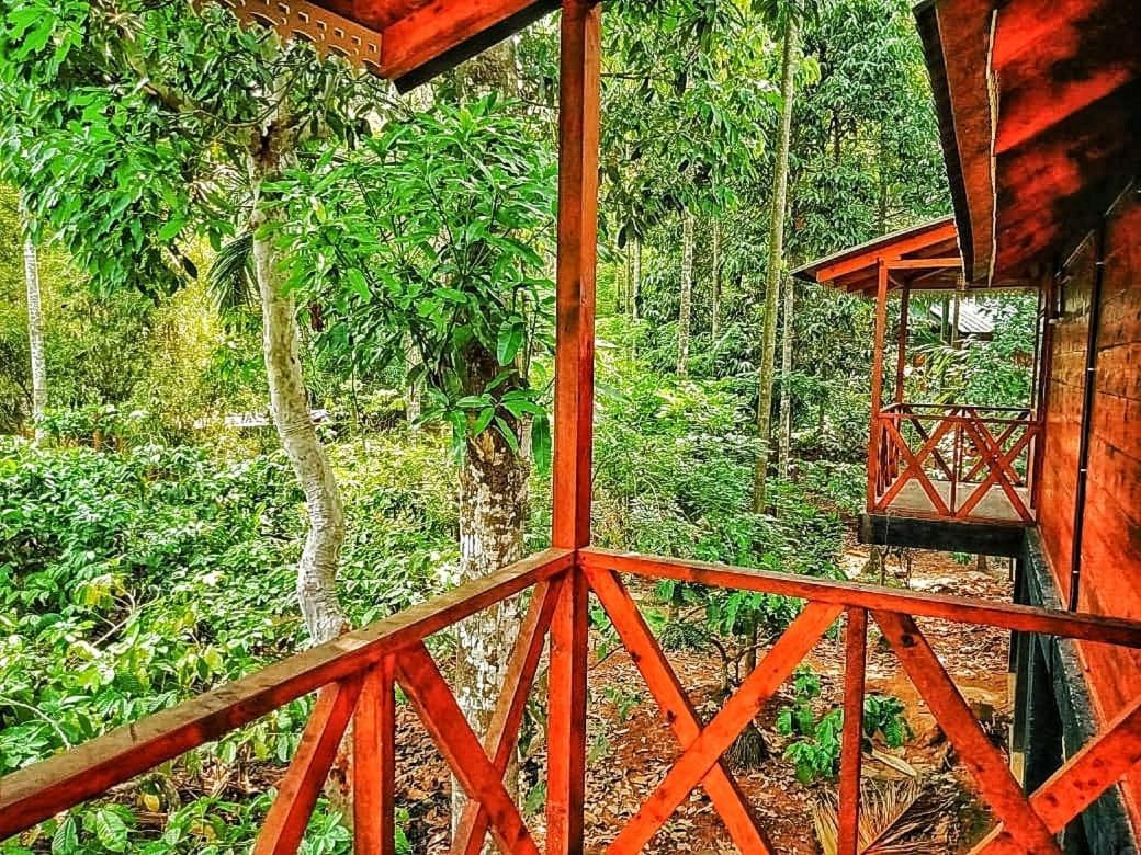 Wooden Cottages Glen Wayanad Meppādi Kültér fotó
